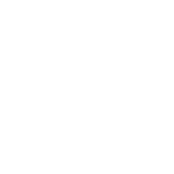 Fleet 01